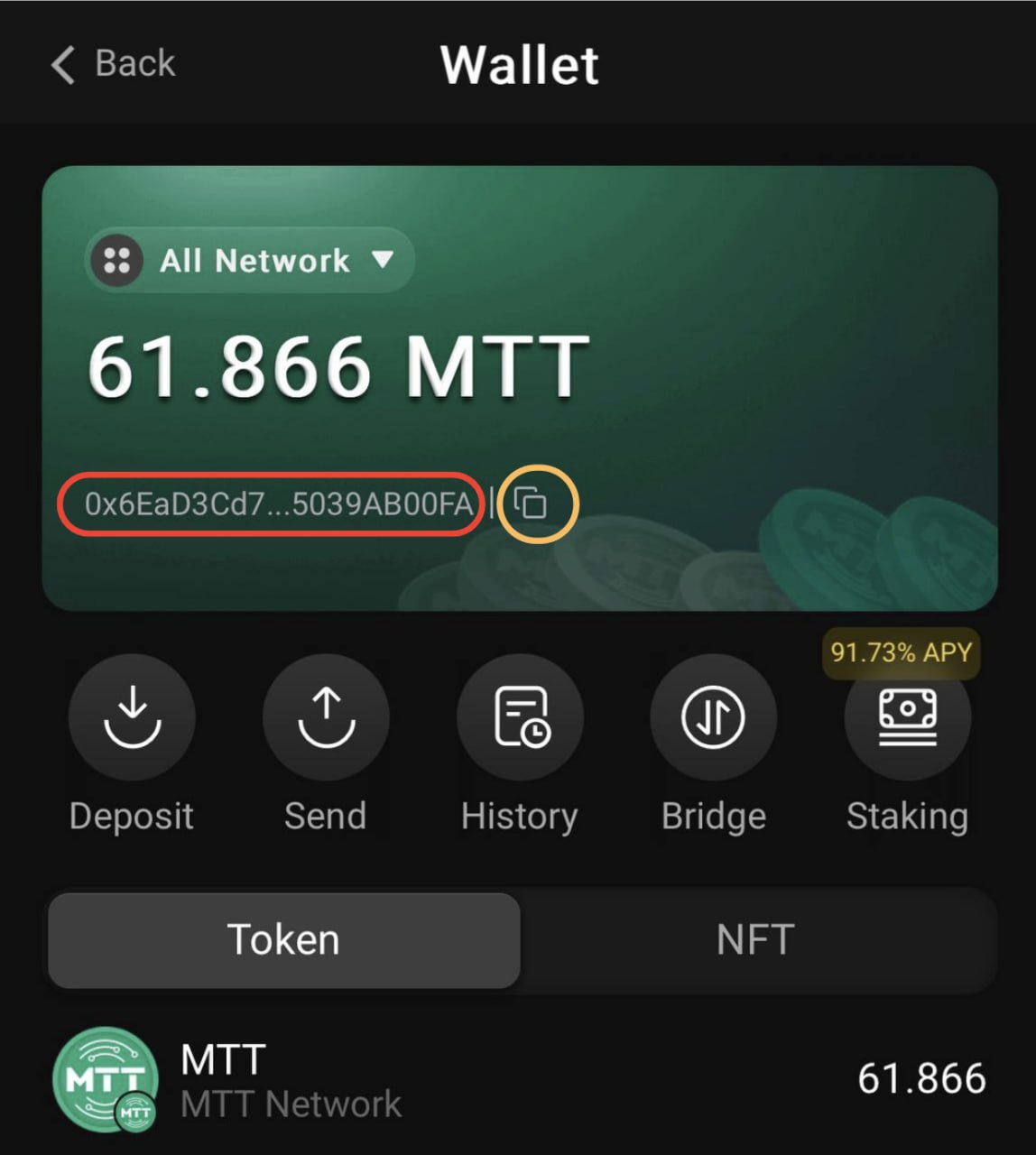 MTT Wallet Address Location